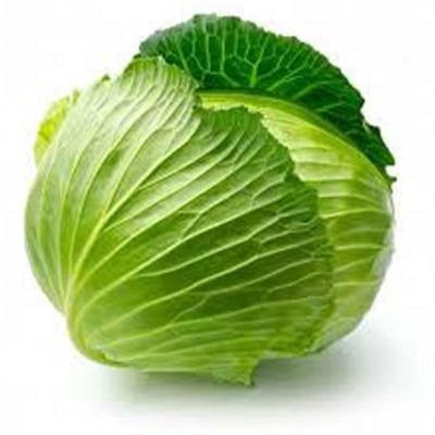 Picture of Hybrid F1 Cabbage Seeds - 20 Pcs Seeds