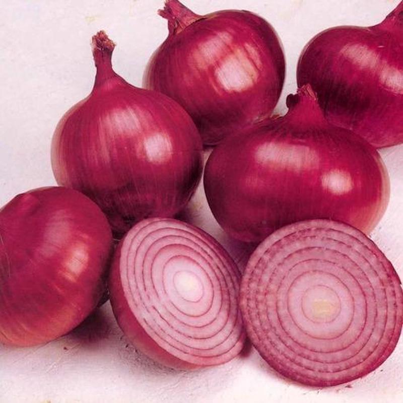 Picture of Red Onion Seeds - 70 Pcs Seeds