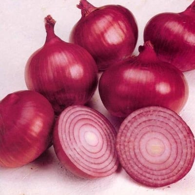 Picture of Four Seasons Red Onion seeds- 70Pcs Seeds