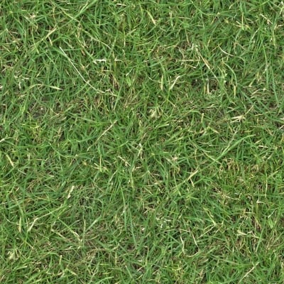 Picture of Sports and Field Grass Seeds - 200+ Pcs