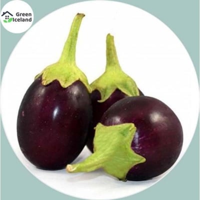 Picture of 0 Pcs All Season Black Eggplant Seeds