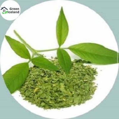 Picture of 50 Pcs Organic Mehendi Bonsai Tree