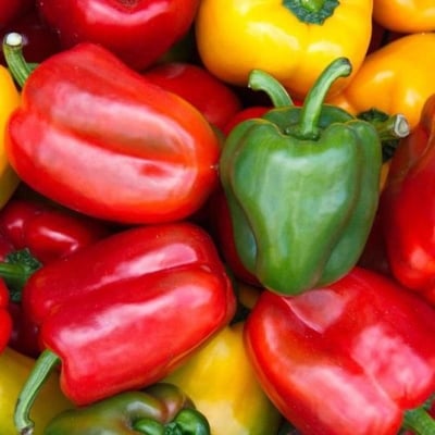 Picture of Capsicum Seeds  10 pieces