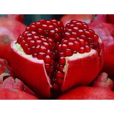 Picture of Vedana Fruit Bonsai Seeds  20 Pcs