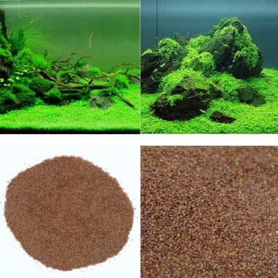 Picture of 50+ Pcs Aquarium Green Grass Plants Seedss