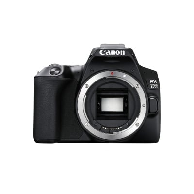 Picture of CANON EOS 250D BODY
