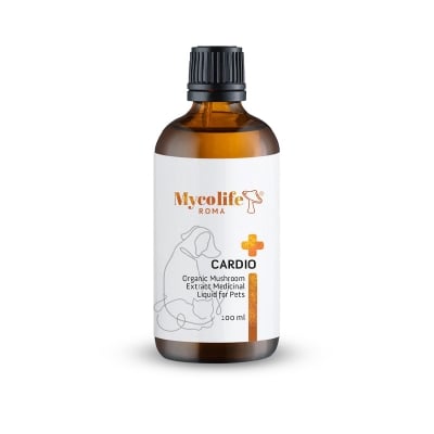Picture of Cardio Mashroom