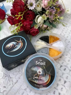 Picture of Snail Laser 6 in 1 Facial Kit - 300gm - Black