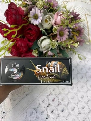 Picture of Snail Laser 6 in 1 Facial Kit - 300gm - Black