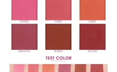 Picture of Imagic Touch 6 in 1 Blush Pallet
