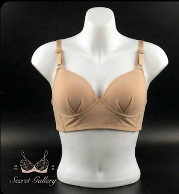 Picture of Seamless Smooth Everyday Bra / Essential Comfort T-Shirt Bra - Multicolor