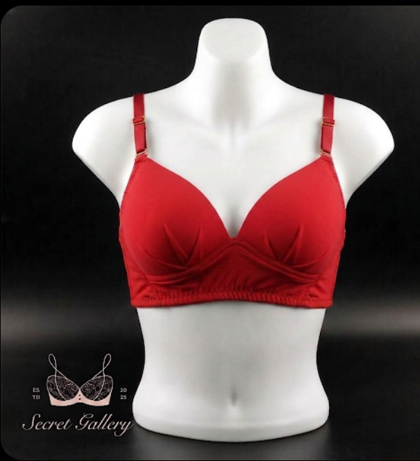 Picture of Seamless Smooth Everyday Bra / Essential Comfort T-Shirt Bra - Multicolor