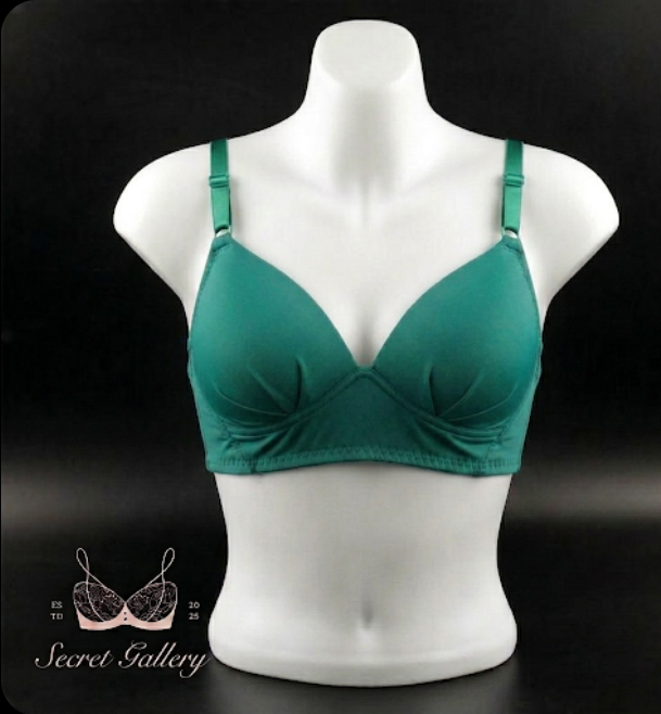 Picture of Seamless Smooth Everyday Bra / Essential Comfort T-Shirt Bra - Multicolor