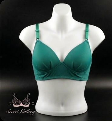 Picture of Seamless Smooth Everyday Bra / Essential Comfort T-Shirt Bra - Multicolor