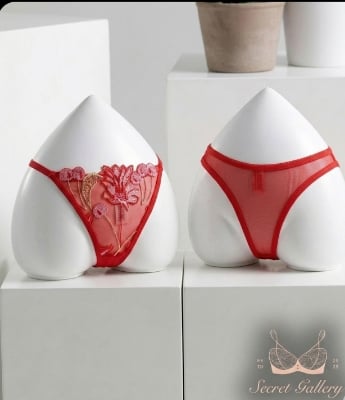 Picture of Luxury Floral Embroidered  Elegant Lace  Panty - Int: One size