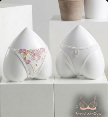 Picture of Luxury Floral Embroidered  Elegant Lace  Panty - Int: One size