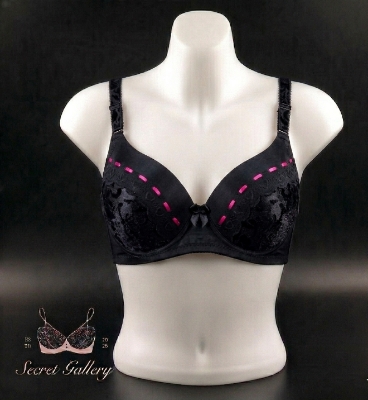 Picture of Elegant Lace Push-Up Bra / Full-Coverage Comfort Everyday Bra - Multicolor