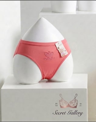 Picture of Premium Cotton Breathable Panties for Women - Heart Embroidery Design - Int: One size