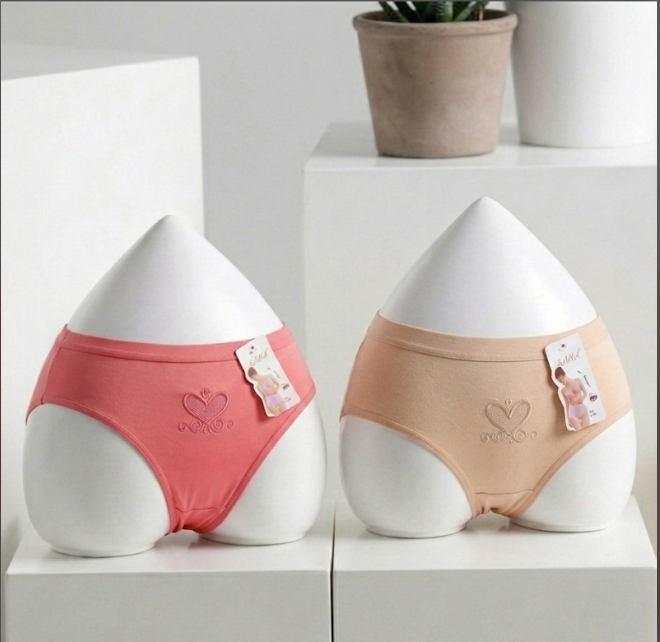 Picture of Premium Cotton Breathable Panties for Women - Heart Embroidery Design - Int: One size