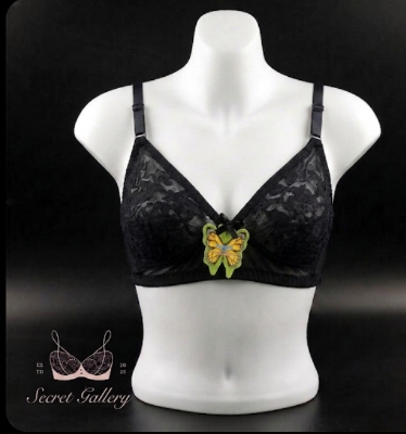 Picture of Elegant Butterfly Lace Bra / Non-Wired Comfort Full Coverage Bralette - Multicolor