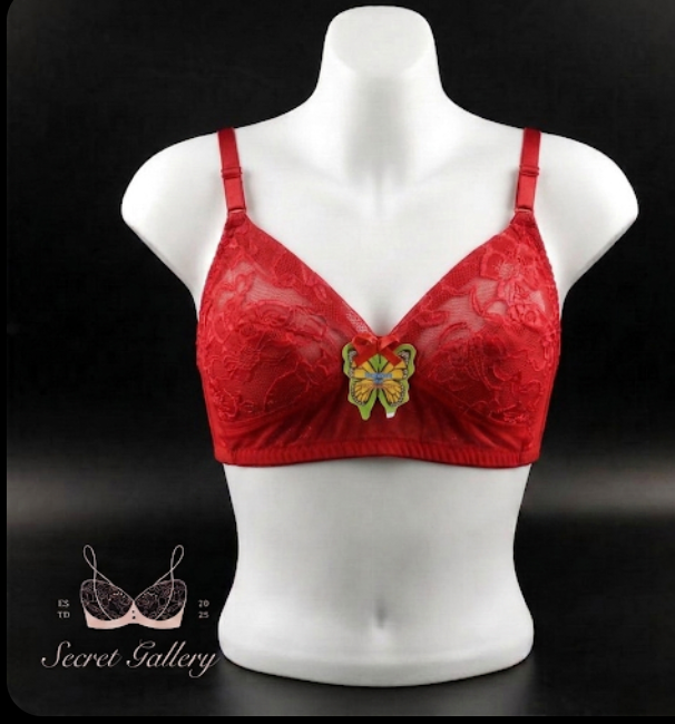 Picture of Elegant Butterfly Lace Bra / Non-Wired Comfort Full Coverage Bralette - Multicolor