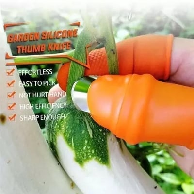 Picture of Silicone Vegetable And Fruits Thumb Cutter Finger cutter 5 in 1 - Orange