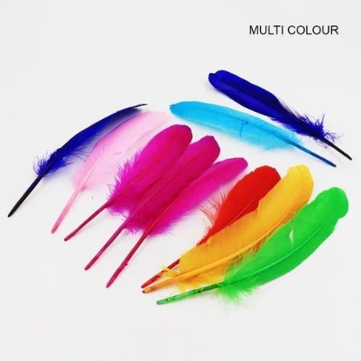 Picture of Art & Craft Feathers (Multi Colour), For Decoration 10pcs - Multicolor