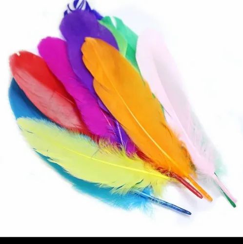Picture of Art & Craft Feathers (Multi Colour), For Decoration 10pcs - Multicolor