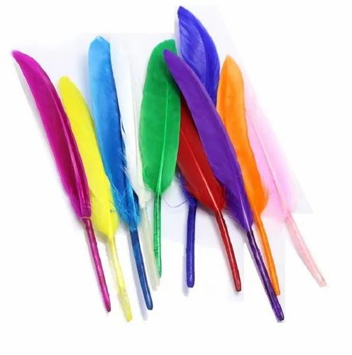 Picture of Art & Craft Feathers (Multi Colour), For Decoration 10pcs - Multicolor