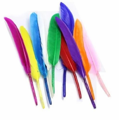 Picture of Art & Craft Feathers (Multi Colour), For Decoration 10pcs - Multicolor