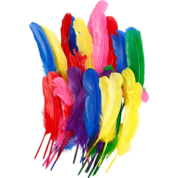Picture of Art & Craft Feathers (Multi Colour), For Decoration 10pcs - Multicolor