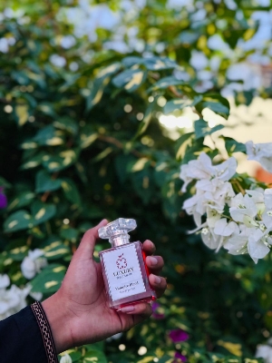 Picture of vampire blood perfume. Vampire Blood Vampire Blood Super Premium Perfume Oil – 10-Hour Long-Lasting Viral Fragrance By Fragmatica a bold fusion of exotic sweet fruity deep dark florals, and warm (50)
