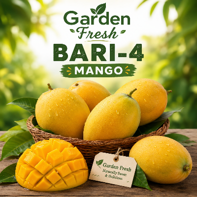 Buy DS Garden Fresh Bari-4 Mango