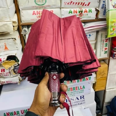Picture of BMW 12Ribs Umbrella Auto-Open/Close Wind Resistant