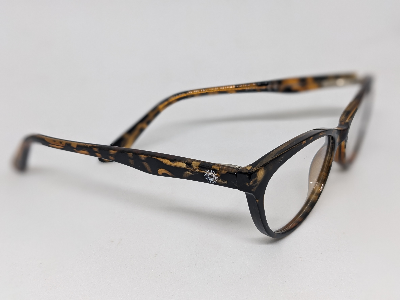 Picture of Adults Frames CP Spring  Shiney Tortoise