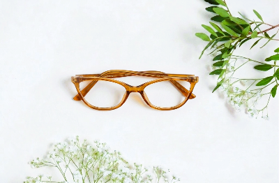 Picture of Adults Frames CP Spring  Transparent Maroon