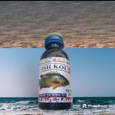 Picture of Flavored Fishing bait for Catching KOI FISH-Black