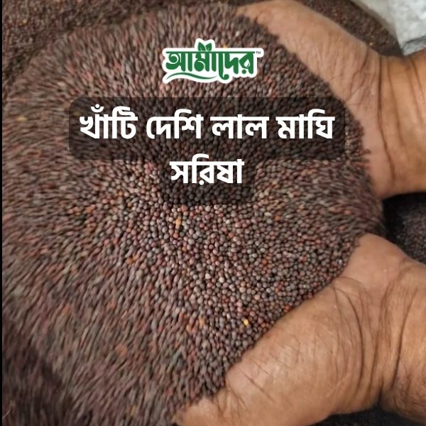 Picture of Amader Cold Press Mustard Oil (5 ltr) - Natural & Pure | Chemical-Free Wooden Ghani Extracted Pure Deshi Maghi Mustard Oil (Sarishar Tel) for Healthy Cooking & Daily Wellness