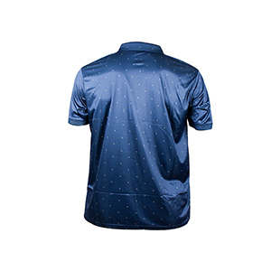 Picture of LOTTO BLUE POLO SHIRTS SPORTS  FOR MEN 8BV1R19