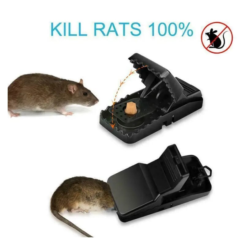 Picture of Mouse Killer Trap 5×3×3 Inches – Reusable Rat Trap Cage, Safe Rodent Catcher for Home Kitchen Indoor Outdoor Use