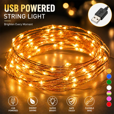 Picture of USB Powered Decorative Fairy Light LED String Lights – 5M/16.4FT 50 LED Warm White Waterproof Copper Wire Garland Morisbati Jharbati for Room Decoration