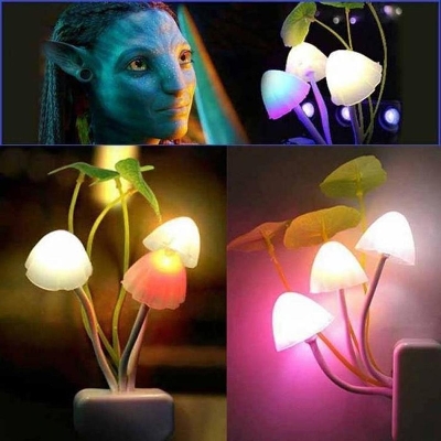 Picture of Dream Mushroom Light