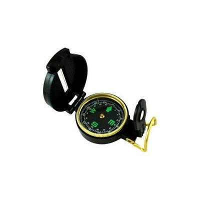 Picture of Travel Compass