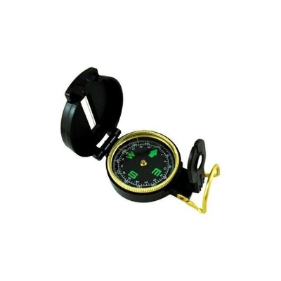Picture of Travel Compass