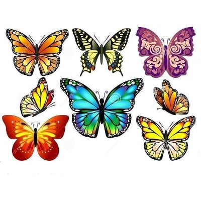 Picture of Butterfly Wall Sticker 12 Pieces - Mulicolor