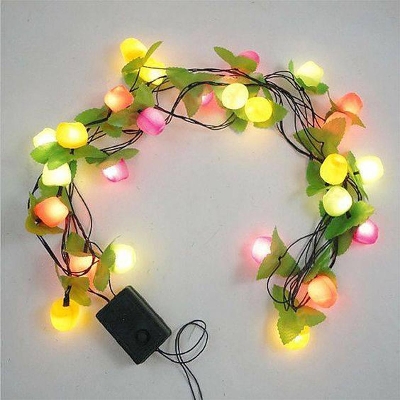 Picture of Fruit String Fairy Light 20 LED