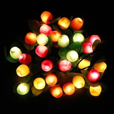 Picture of 20 LED Multicolor Fruit String Fairy Light
