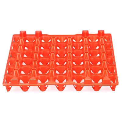 Picture of 1 PCS  20holes cheap plastic egg tray- Multicolour