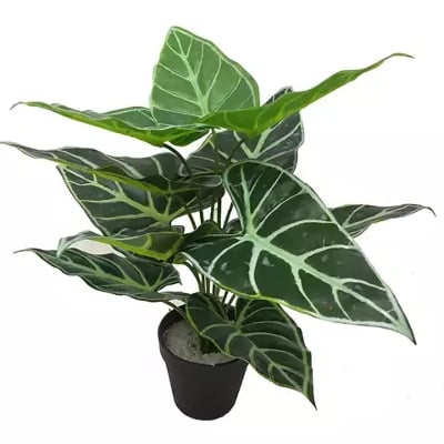 Picture of Artificial bright green tree leaf with black tob for Home