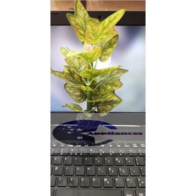 Picture of Home Bonsai Plastic Grass for Indor Decore